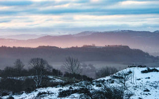 Discover The Hidden Gem Amongst Distilleries – Henstone Distillery In Shropshire